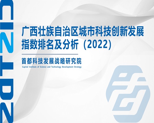 几把逼操【成果发布】广西壮族自治区城市科技创新发展指数排名及分析（2022）